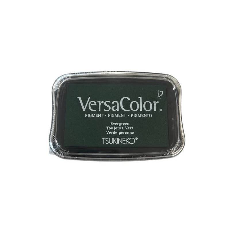 Encreur scrapbooking Versacolor
