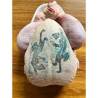 encre-viande-exemple-poulet