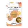 Sceau pour cachet de cire Surprise