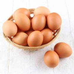 encre-pour-marquage-oeufs
