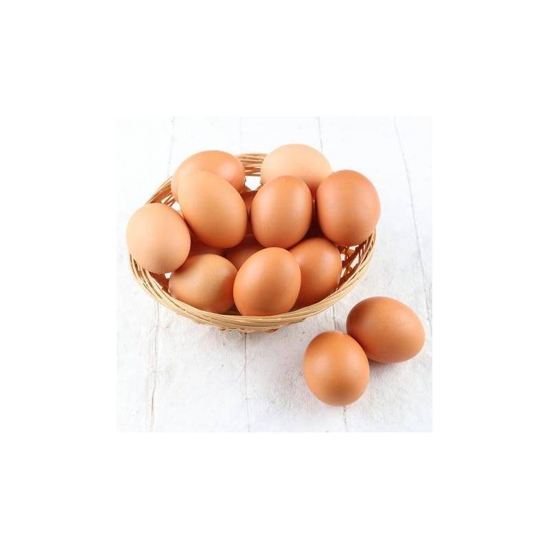 encre-pour-marquage-oeufs