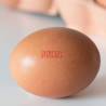 Marquage oeufs