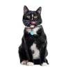 Médaille chat à graver