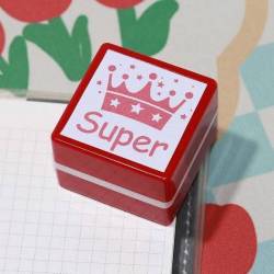 Tampon encreur enseignant Super !