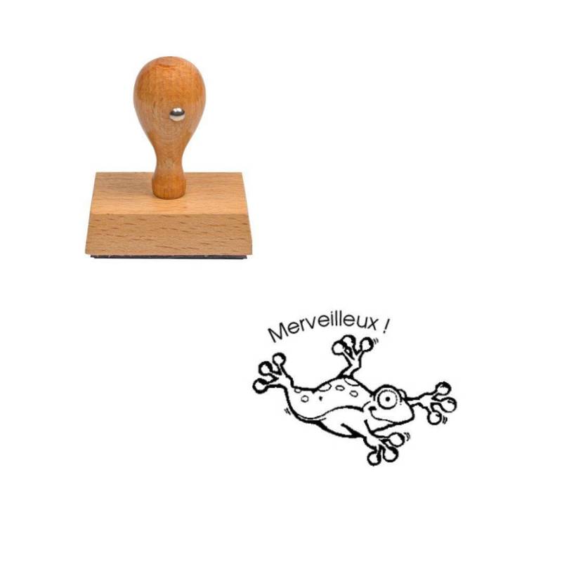 Tampon enseignant Merveilleux n°352