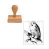 Tampon gravure ancienne tableau chouette