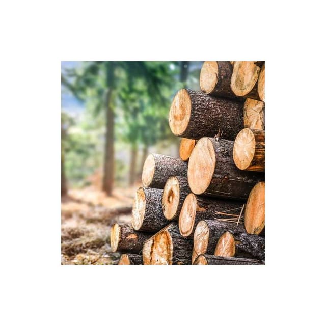 encre pour marquer le bois