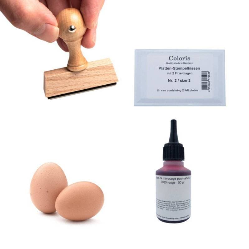 Tampon à personnaliser pour les œufs et encre pour les œufs