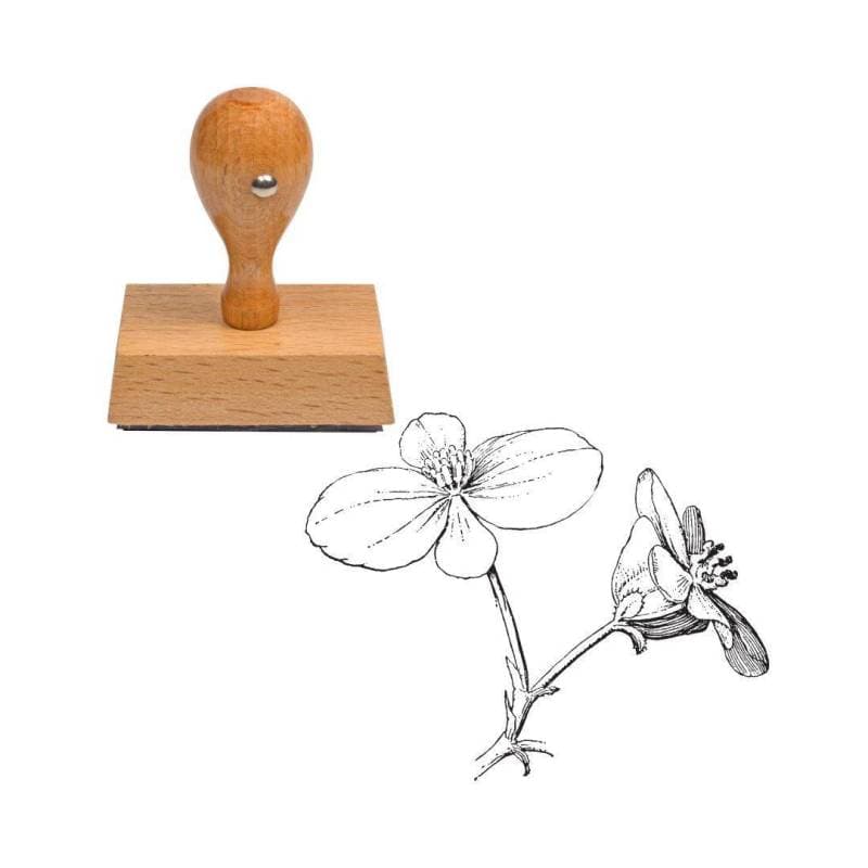 tampon fleur begonia